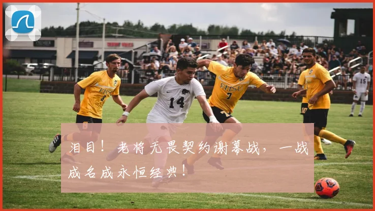 泪目！老将无畏契约谢幕战，一战成名成永恒经典！
