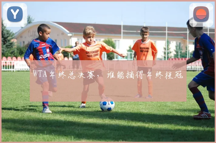 WTA年终总决赛,谁能摘得年终桂冠